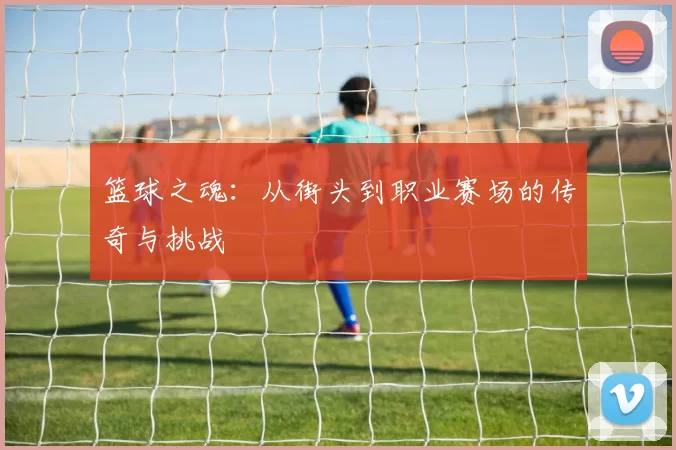 篮球之魂：从街头到职业赛场的传奇与挑战