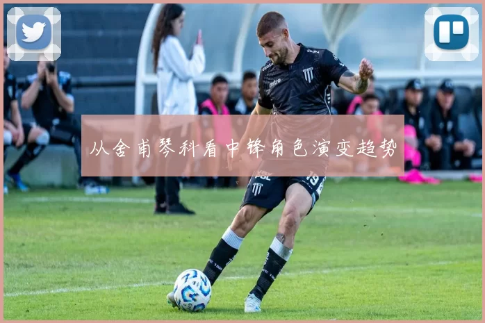 从舍甫琴科看中锋角色演变趋势