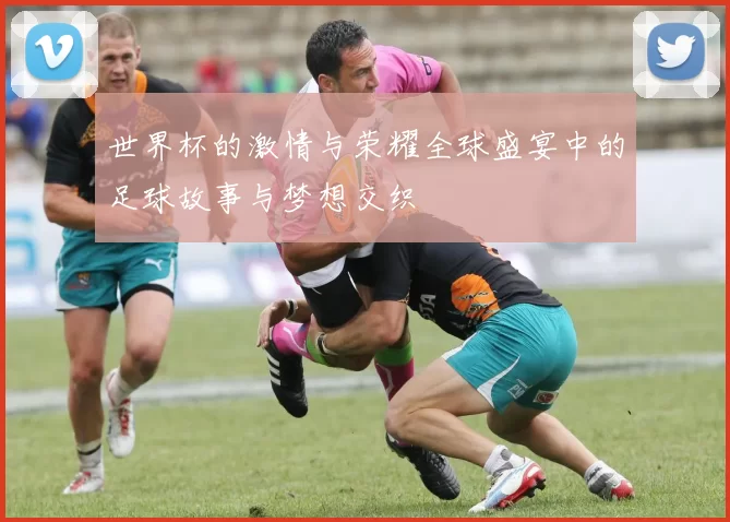 世界杯的激情与荣耀全球盛宴中的足球故事与梦想交织