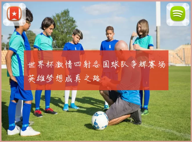 世界杯激情四射各国球队争辉赛场英雄梦想成真之路